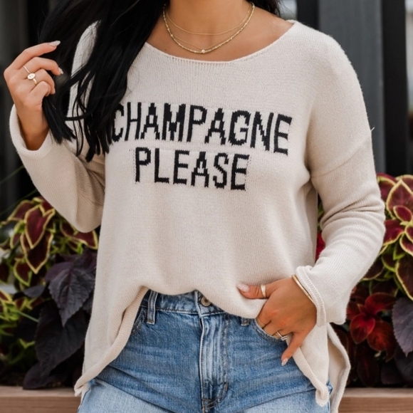 #460 🛑 S,M "Champagne Please" Long Sleeve Sweater Top - Picture 4 of 6